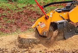 Best Lawn Disease Treatment  in Grangeville, ID
